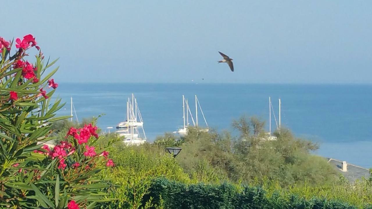Porteo - Les Terrasses Du Port Villa Centuri
