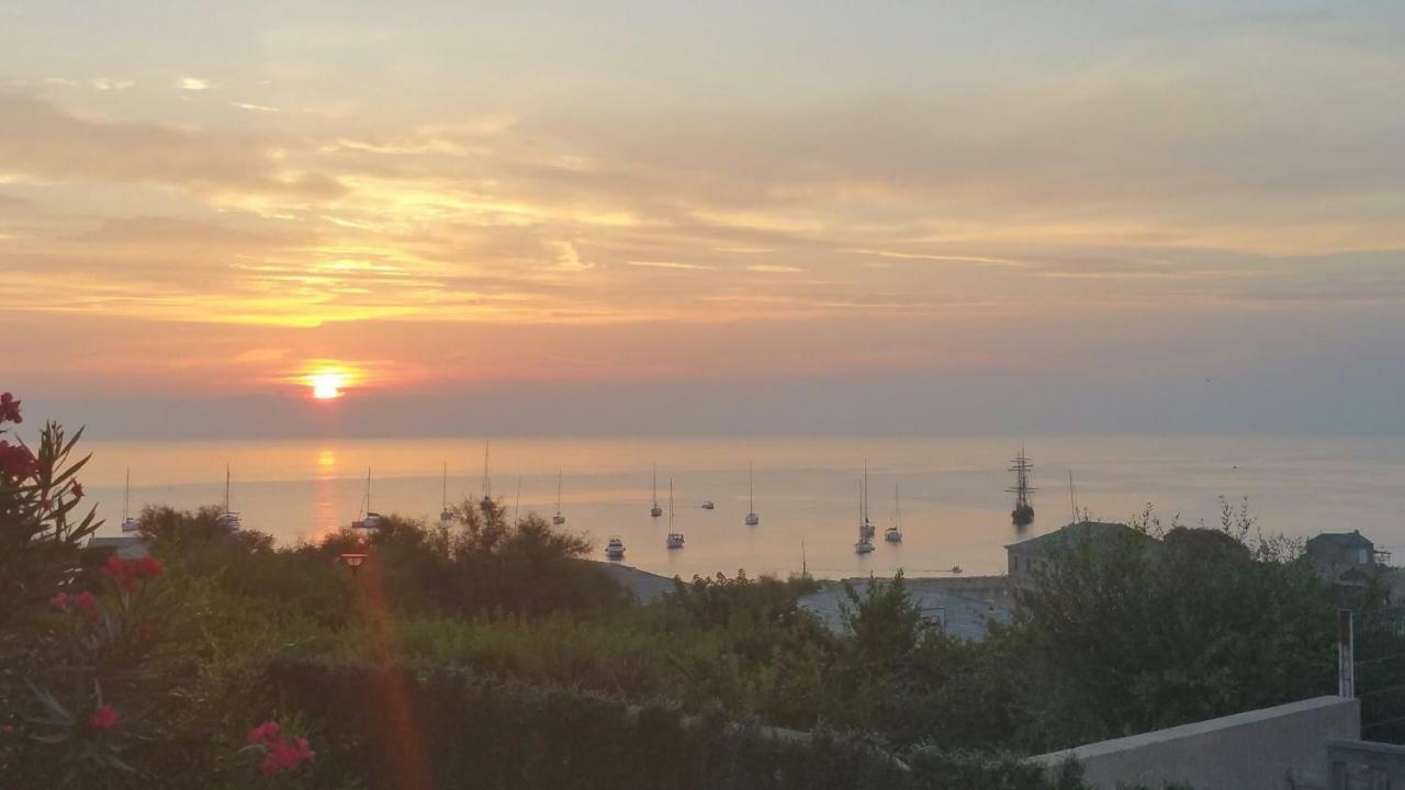 Porteo - Les Terrasses Du Port Centuri